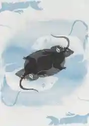 “Offset Lithographs” playing with printing techniques