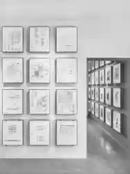 Roger Boltshauser, Response